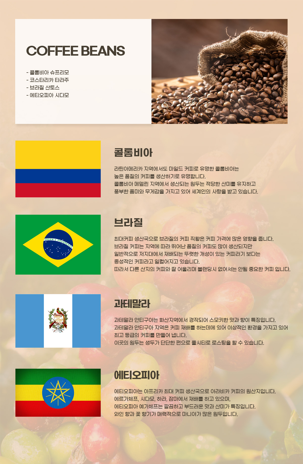 커피머신렌탈 - 원두소개